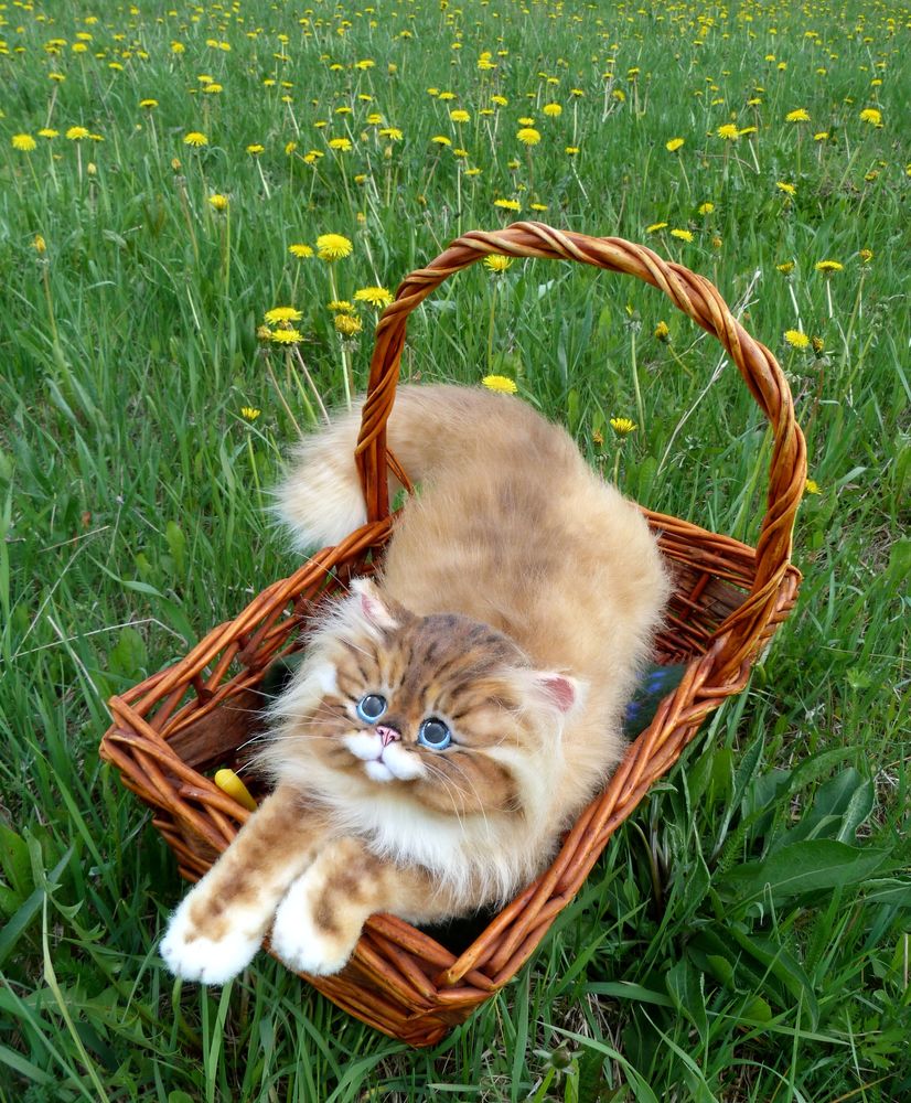 Деревянная Кошка Фото