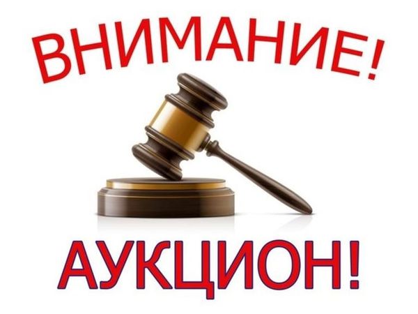Аукцион на валяную брошь! СТАРТ 600 рублей | Ярмарка Мастеров - ручная работа, handmade