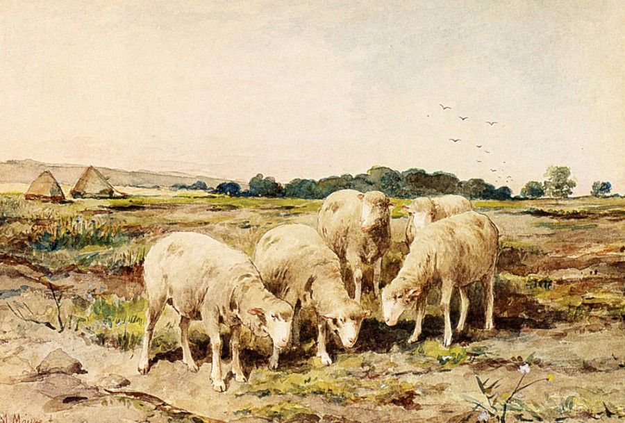 Anton Mauve and his Paintings with Sheep | Журнал Ярмарки Мастеров