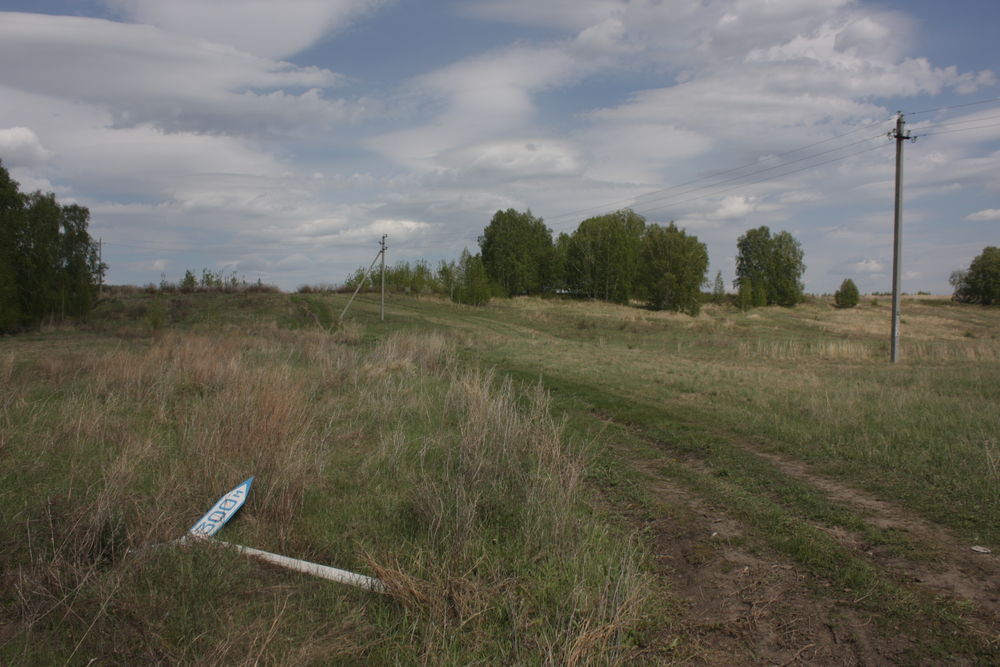 прогулка прогулка
