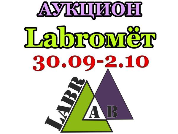 Окончен досрочно! Многолотовый аукцион LabroМЁТ 30.09-2.10.16. Лучшие лабрадориты по лучшим ценам! | Ярмарка Мастеров - ручная работа, handmade