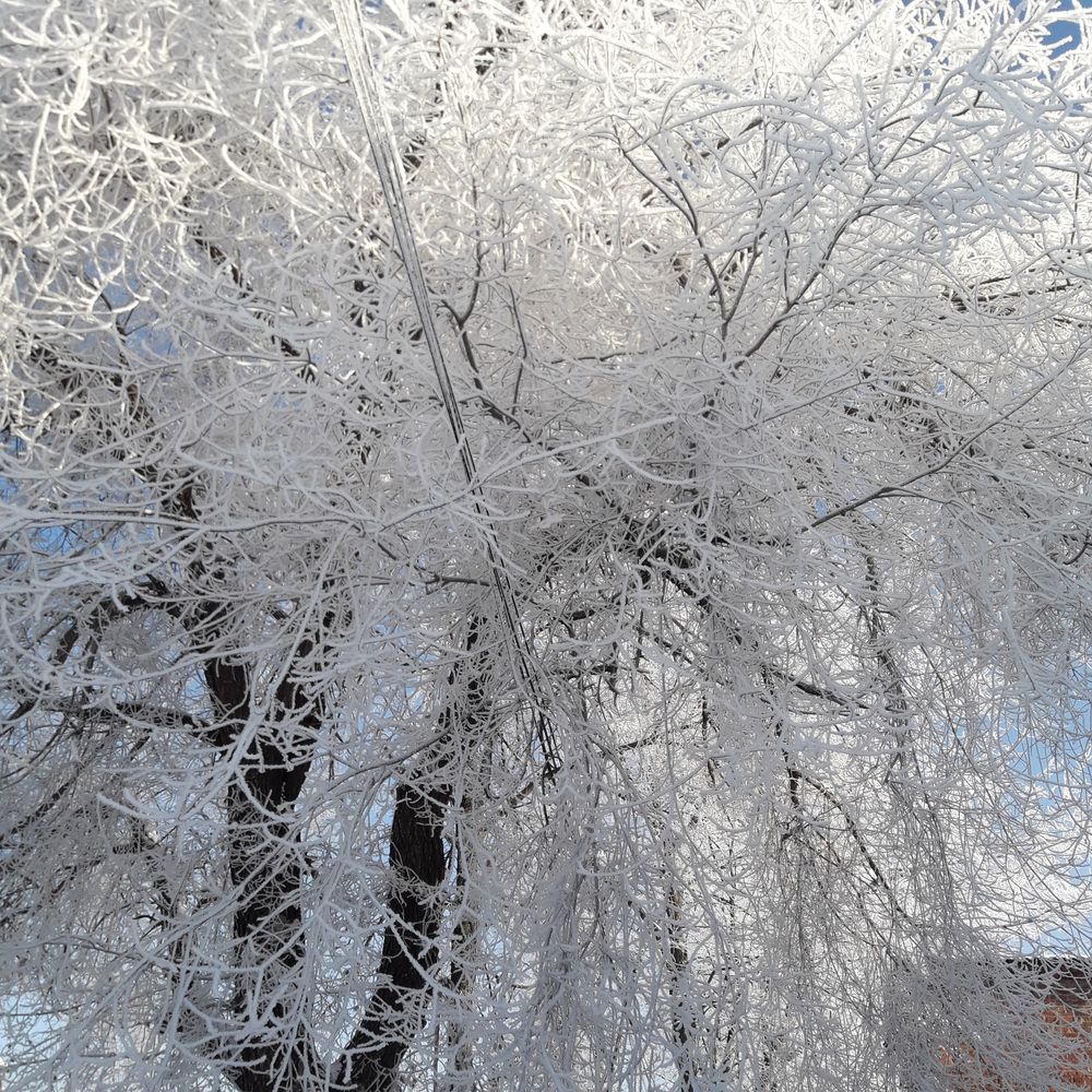 С первым днем зимы фото