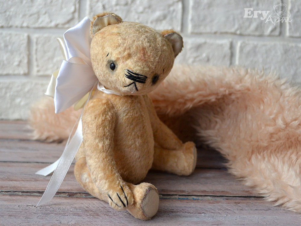 Мишка тедди. Первый мишка. Первый мишка. Первый мишка тедди 1903. Плюшевый мишка.