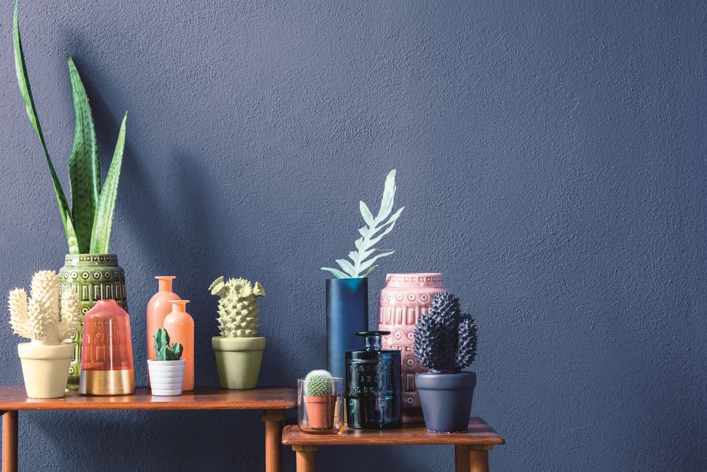 Trendový skauting aneb Proč máme rádi kaktusy?, foto č. 7