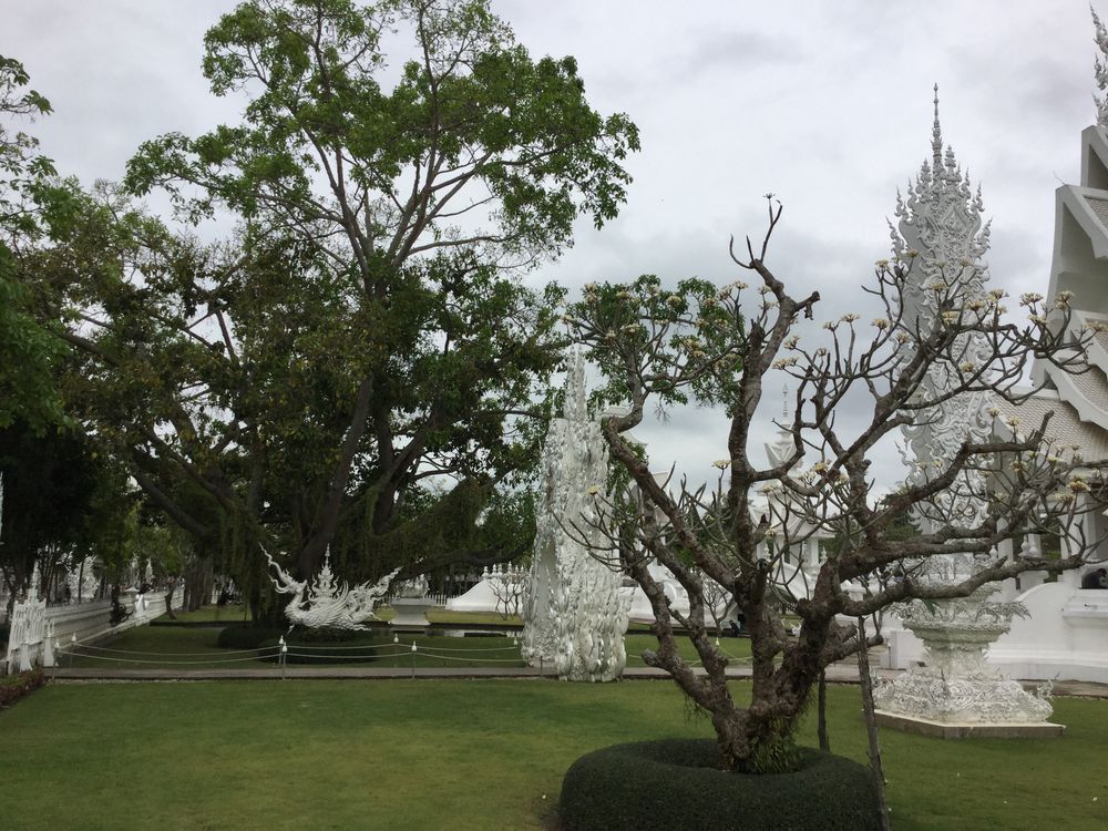 Северный Тайланд. Белый храм., фото № 7