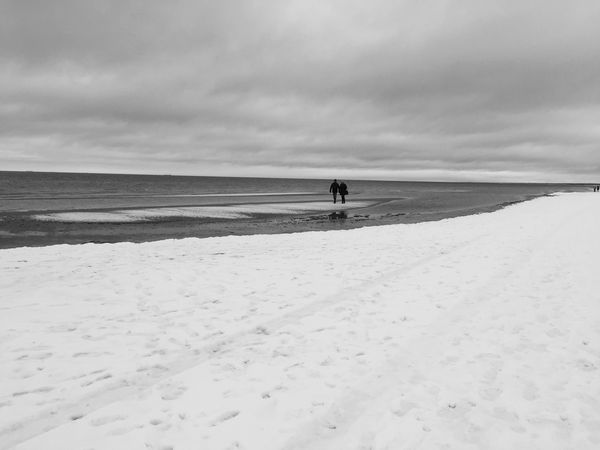 Жизненные истории Алессандро. Часть II. (продолжение следует) | Ярмарка Мастеров - ручная работа, handmade