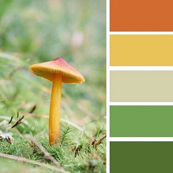 Autumn Colors Inspiration | Журнал Ярмарки Мастеров