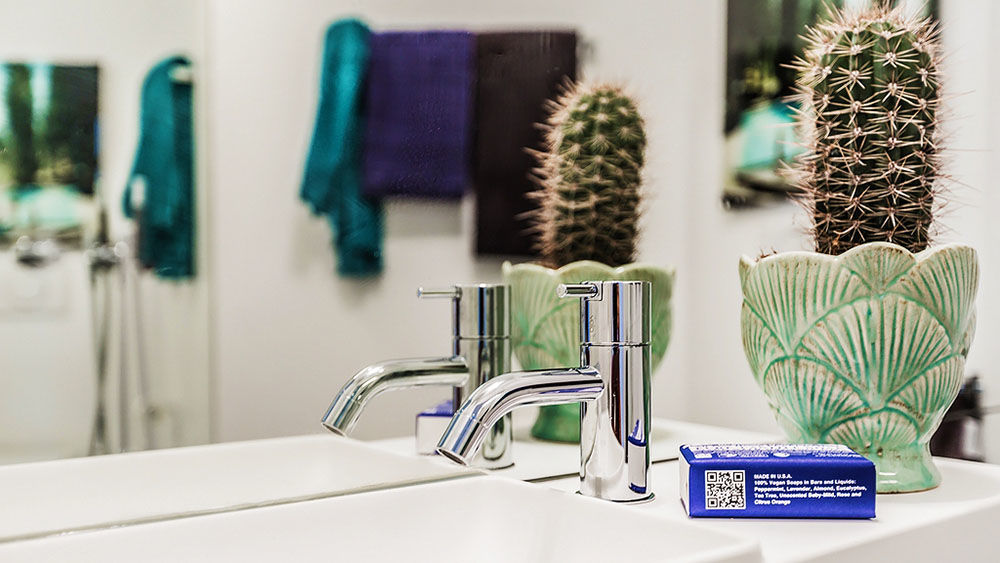 Trendový skauting aneb Proč máme rádi kaktusy?, foto č. 10