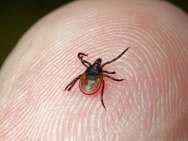 Что это? Ужасы или информация к размышлению? | Ярмарка Мастеров - ручная работа, handmade