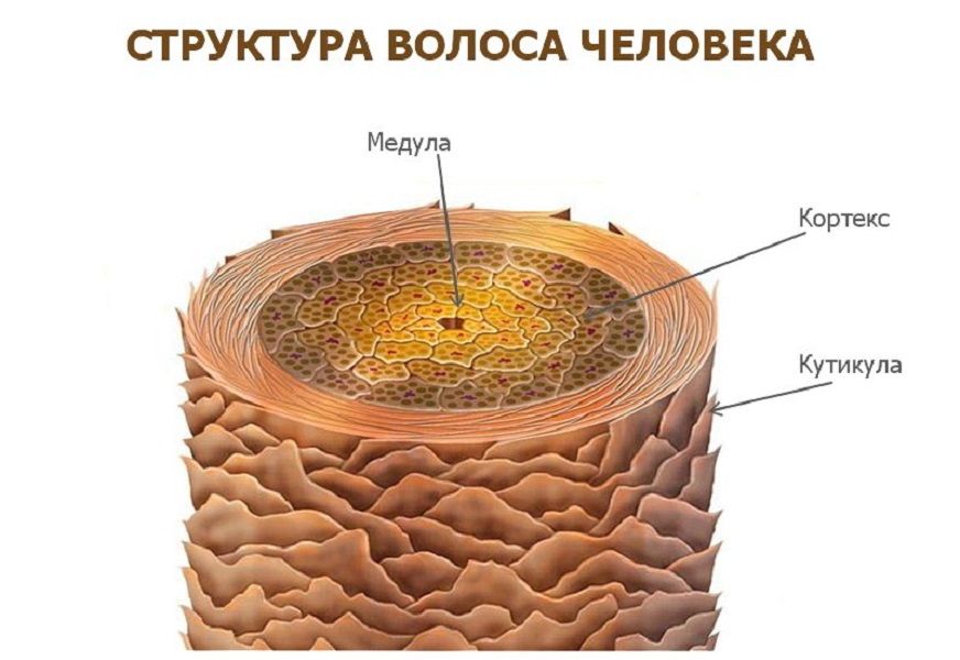 Салон красоты Ленинский 117