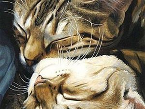 благотворительный аукционБлаготворительный аукцион в помощь Алисе, Мусе и другим кошкам, нуждающимся в помощи. | Ярмарка Мастеров - ручная работа, handmade благотворительный аукцион