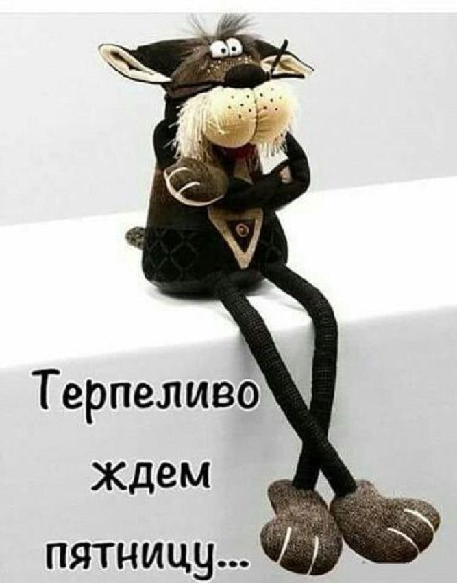 Скорей бы пятница картинки, веселые афоризмами