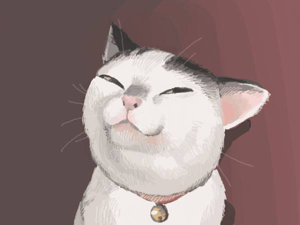 Хитрый кот
