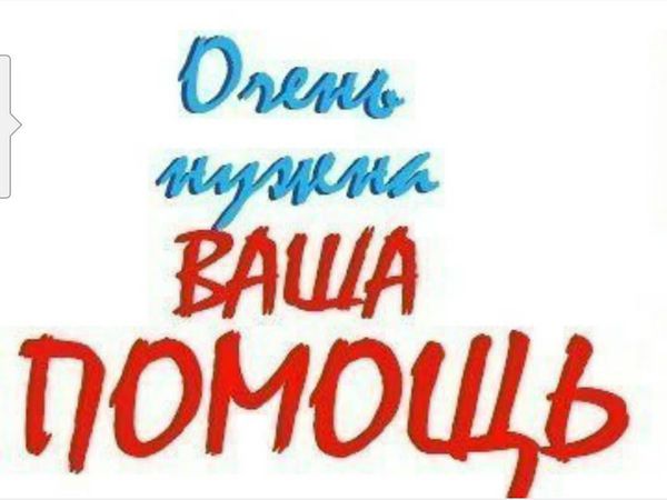 Скидка 30% у мастера Ирина! Помогите побороть онкологию! | Ярмарка Мастеров - ручная работа, handmade