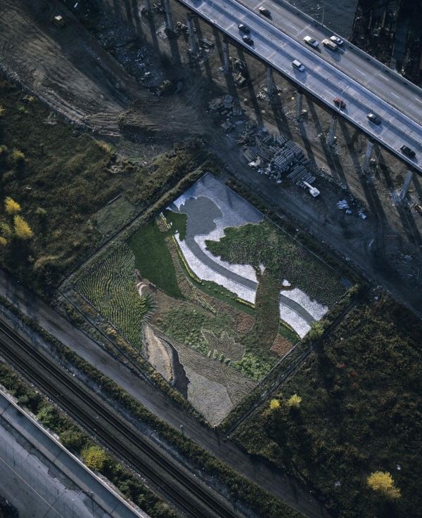 Удивительная полевая живопись Стена Херда, фото № 2