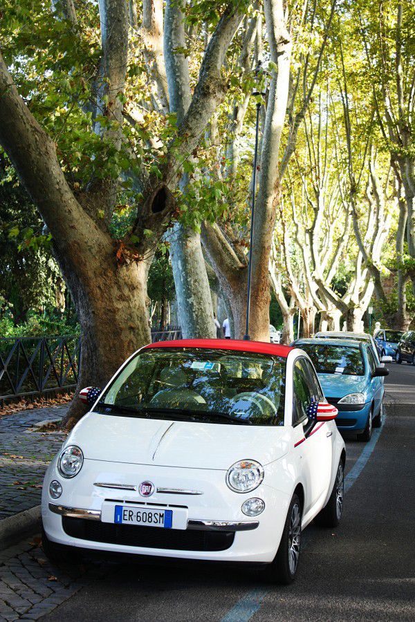 IMG_2985 IMG_2985