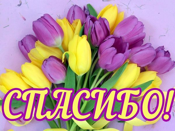 Моя работа Шарф