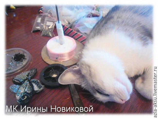 рыба рыба