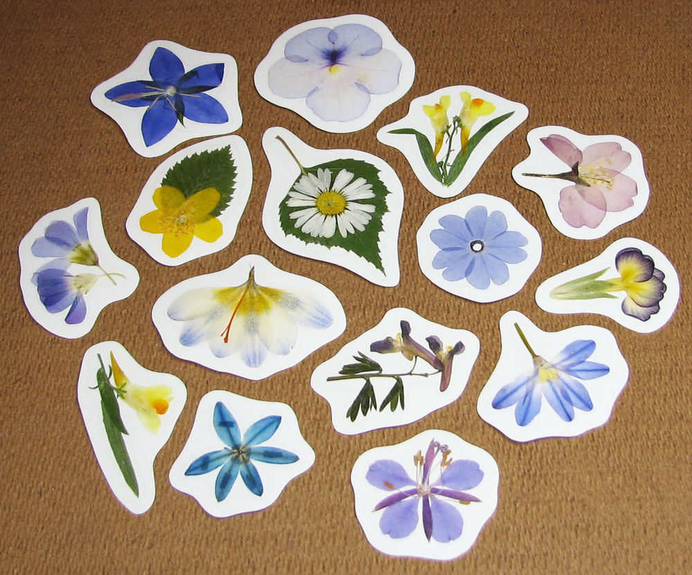 идеи для наклеек своими руками. стикер-наклейка. мастер класс наклейки. идеи для самодельных наклеек. стикер-наклейка.