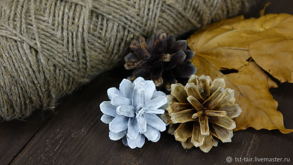 ÑÐ¾ÑÐ½Ð¾Ð²Ñ‹Ðµ ÑˆÐ¸ÑˆÐºÐ¸, Ð¾Ñ‚Ð±ÐµÐ»Ð¸Ð²Ð°Ð½Ð¸Ðµ