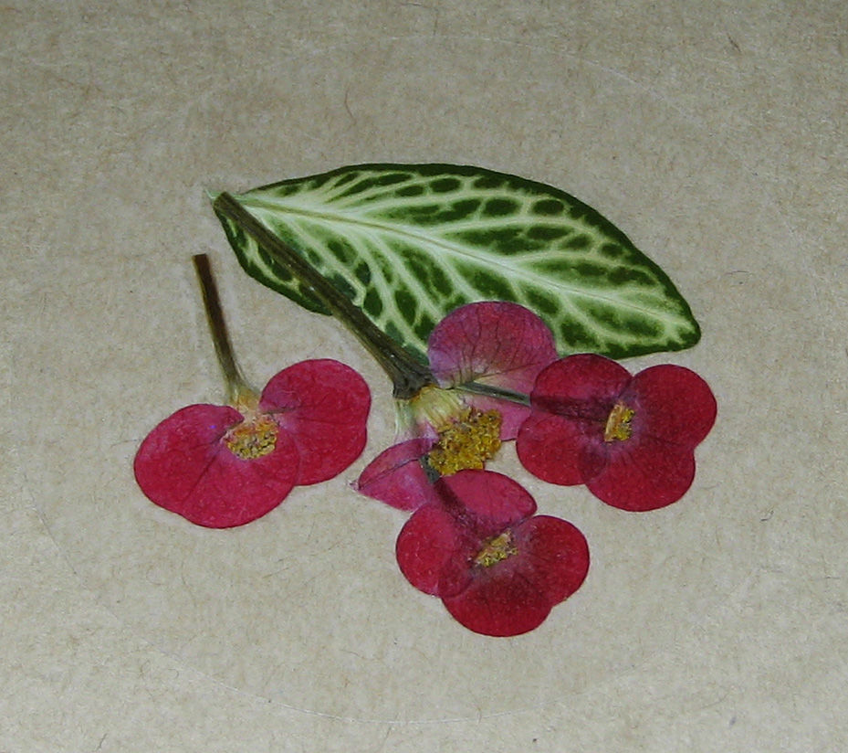 идеи для самодельных нак. мастер класс наклейки. мастер класс наклейки. наклейки без клея и скотча. мастер класс наклейки.