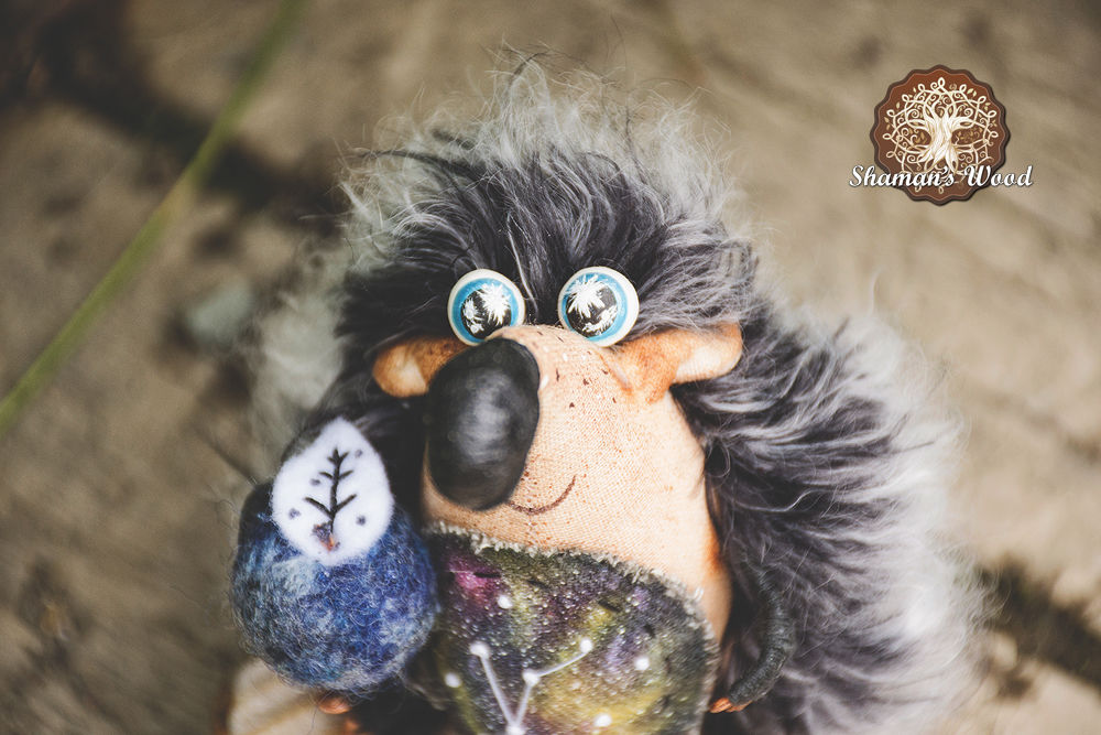 обыкновенный ёж. голубой еж. еж ехидна дикобраз. ген ежика. Hedgehog mutant drosophila.