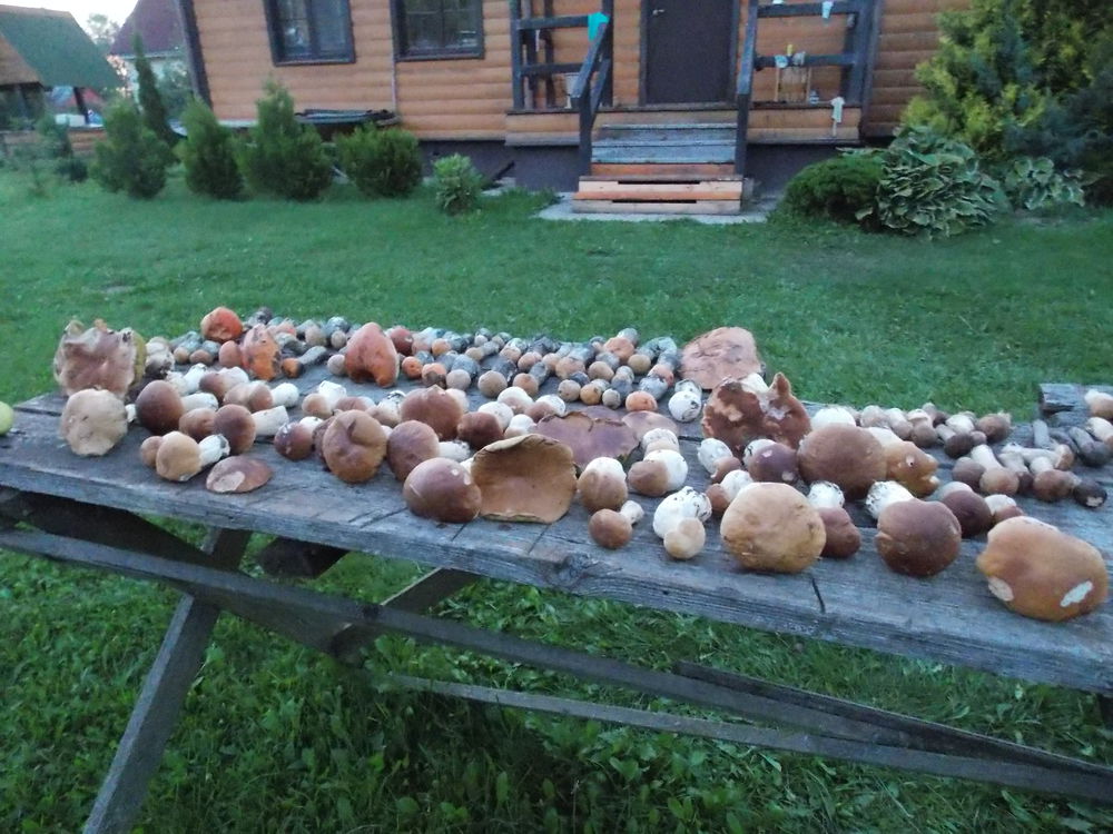 мешочек мешочек