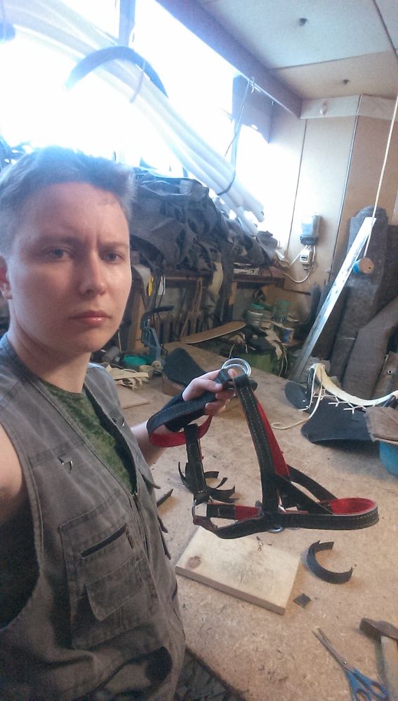 Взгляд изнутри шорник, фото № 6